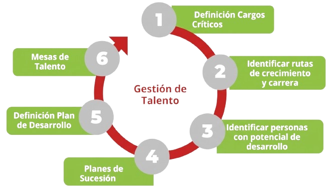 Equipo de Kite Group trabajando en gestión de talento