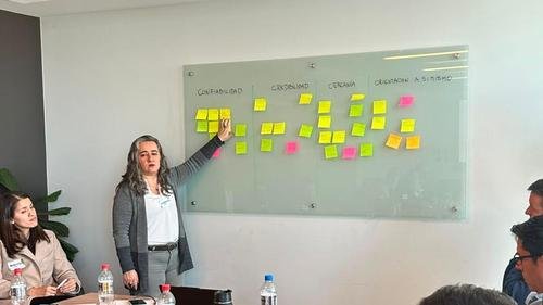 Desarrollo de Mentores Internos